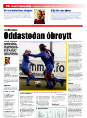 Síða 20