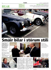 Síða 22