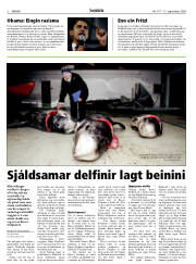 Síða 2