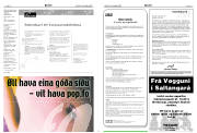 Síða 19