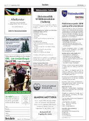 Síða 33