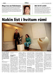 Síða 4