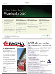 Síða 8