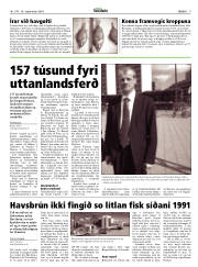 Síða 9