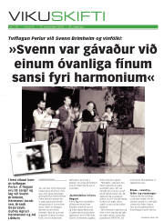Síða 17