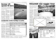 Síða 4