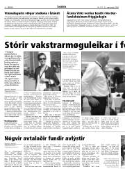 Síða 10