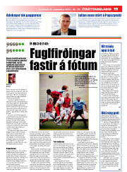 Síða 19