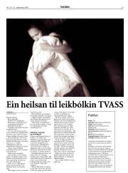 Síða 29