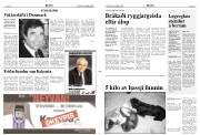 Síða 3