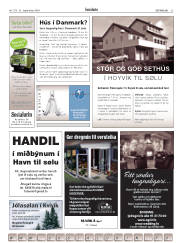 Síða 33