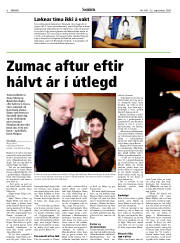 Síða 6