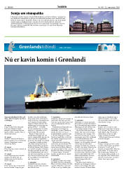 Síða 10