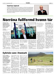 Síða 11