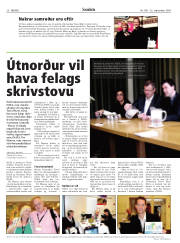 Síða 20