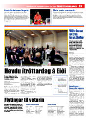 Síða 23