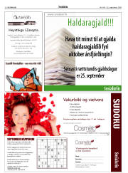 Síða 26