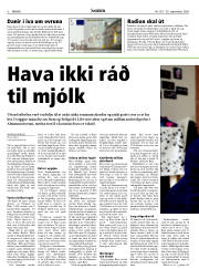 Síða 6