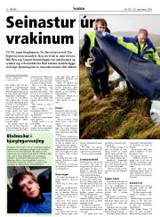 Síða 20