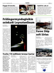Síða 11
