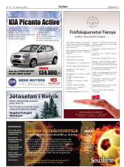 Síða 17