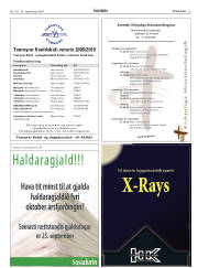 Síða 29