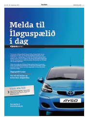 Síða 19