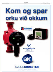 Síða 26