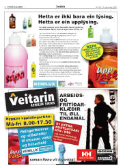 Síða 32