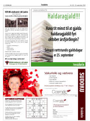 Síða 40