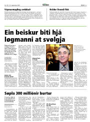 Síða 33