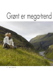 Síða 20