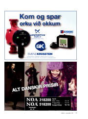 Síða 39