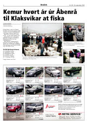 Síða 2