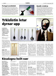 Síða 6