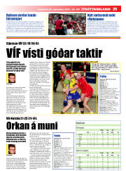 Síða 25