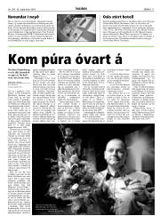 Síða 11