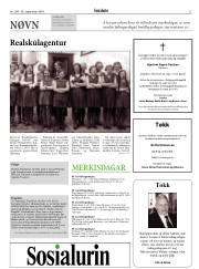 Síða 31