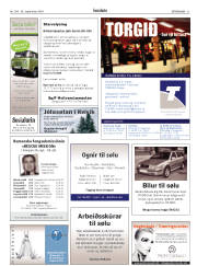 Síða 33