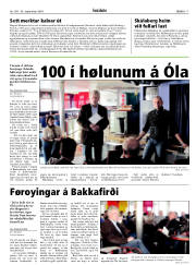 Síða 17