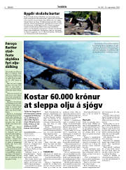 Síða 6