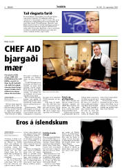 Síða 8