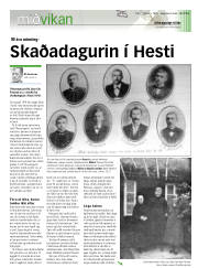 Síða 15