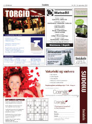 Síða 20