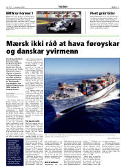 Síða 17