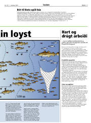 Síða 19