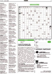 Síða 29