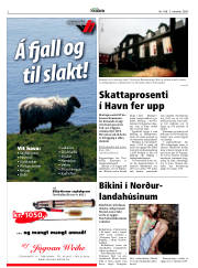 Síða 2