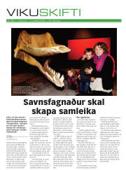 Síða 17