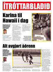Síða 33